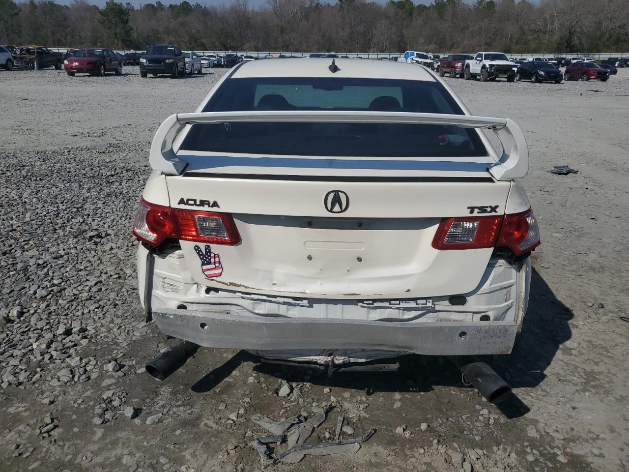 2010 Acura TSX VIN JH4CU2F60AC016819 Copart auction photo, rear end damage thumbnail 6