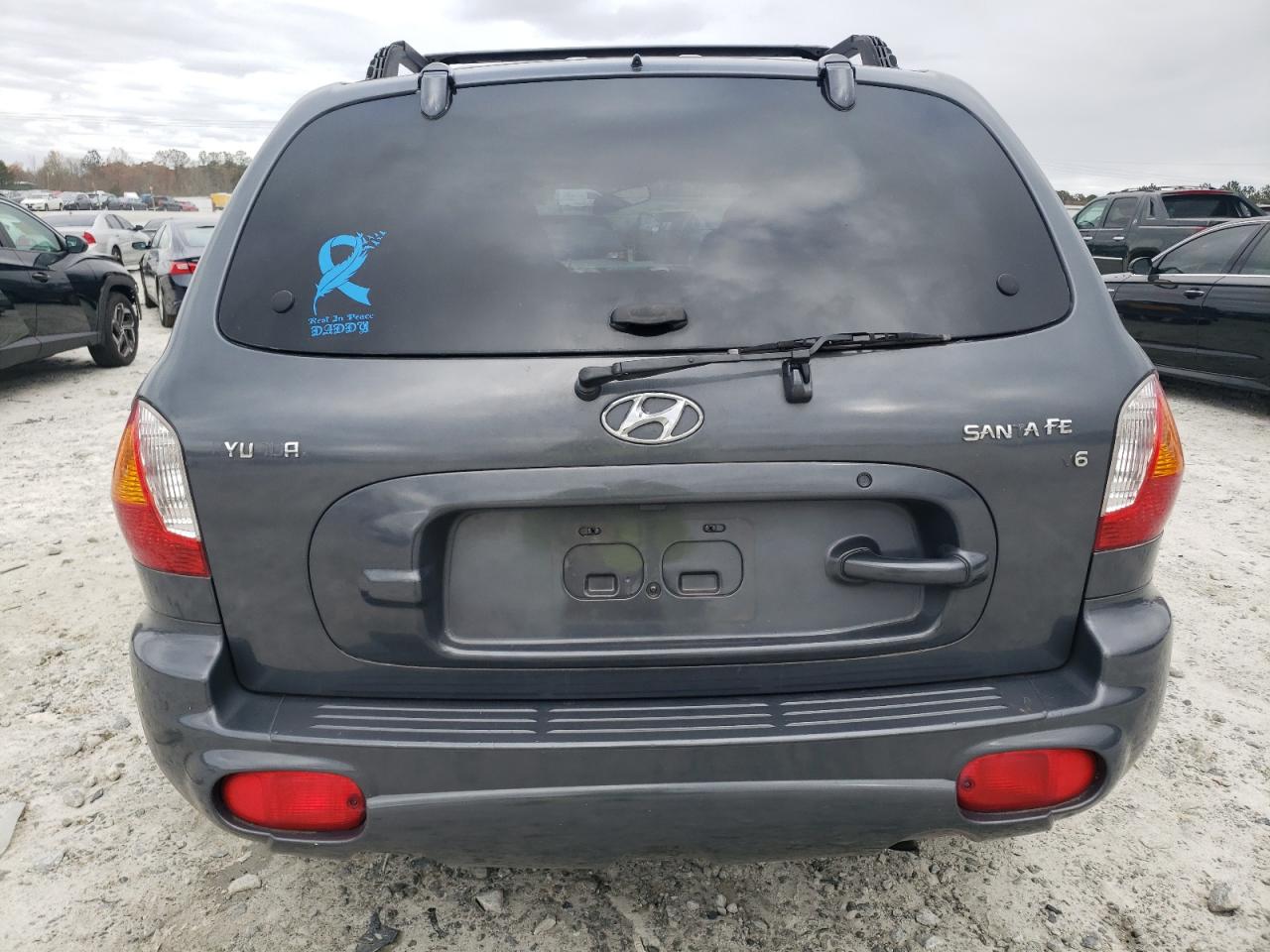 2003 Hyundai Santa Fe VIN KM8SC13D23U514882 Copart auction photo, all over damage thumbnail 6