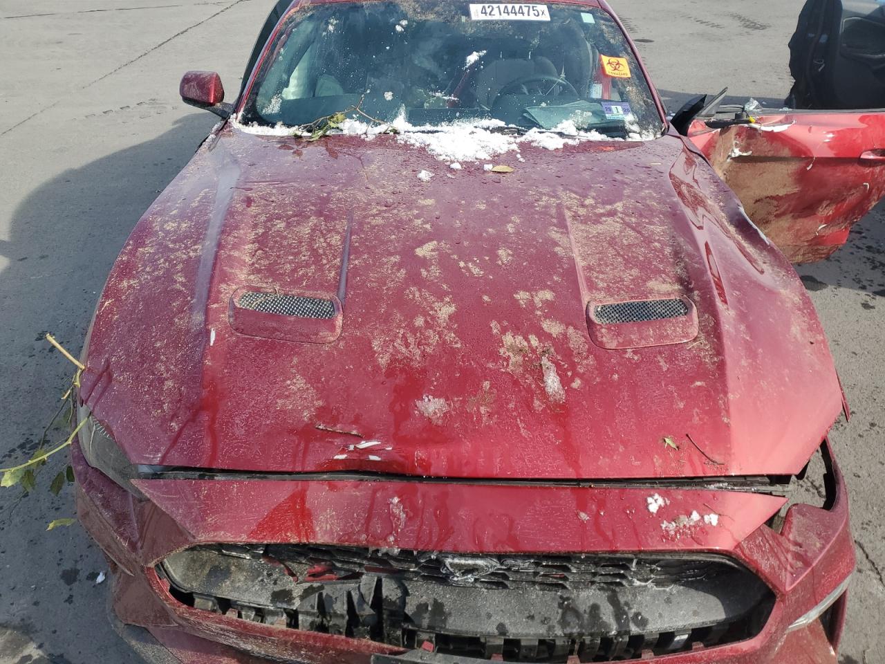 2019 Ford Mustang VIN 1FA6P8TH6K5146596 Copart auction photo, all over damage thumbnail 12