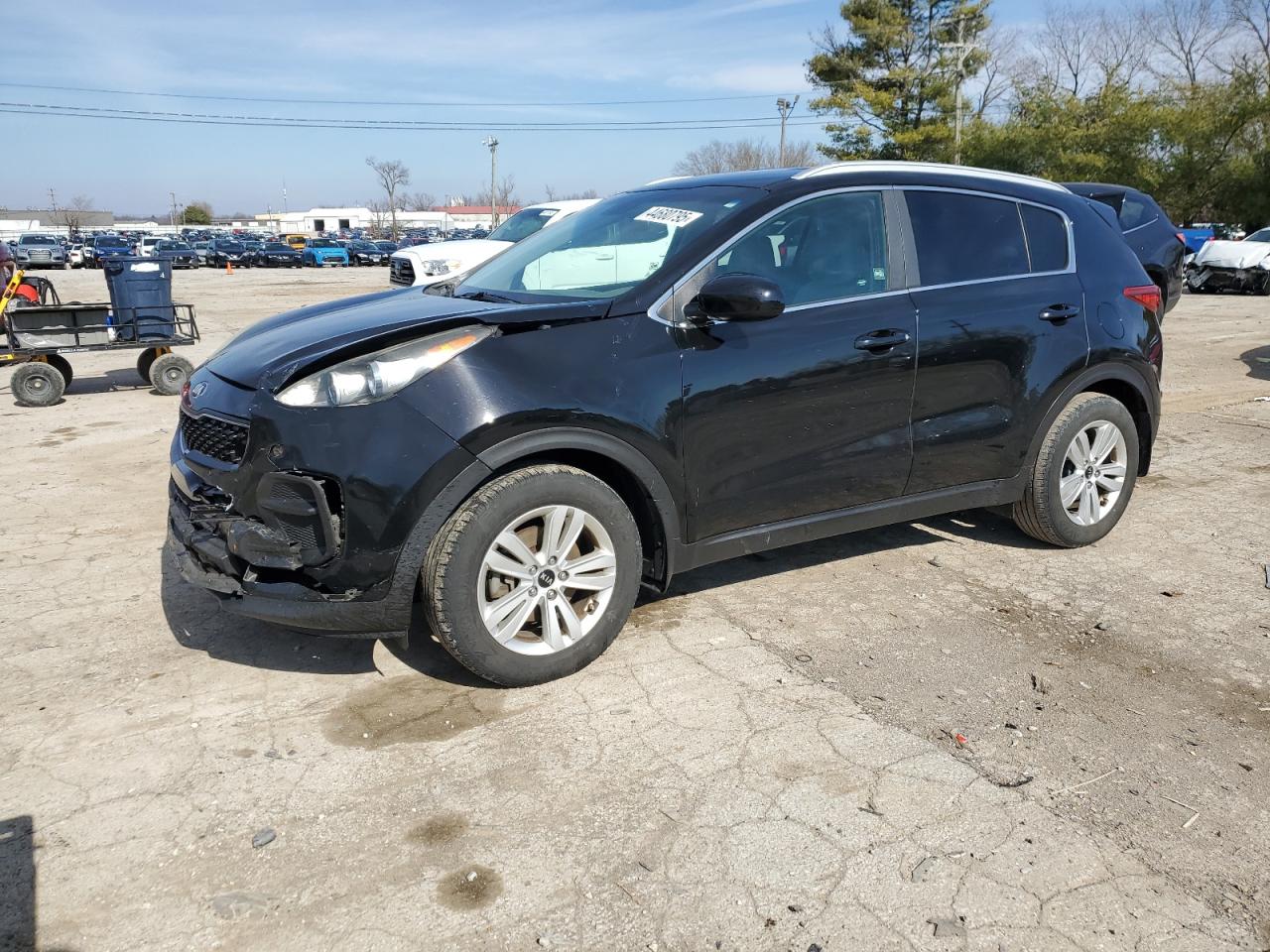 2017 KIA Sportage VIN KNDPM3AC8H7174401