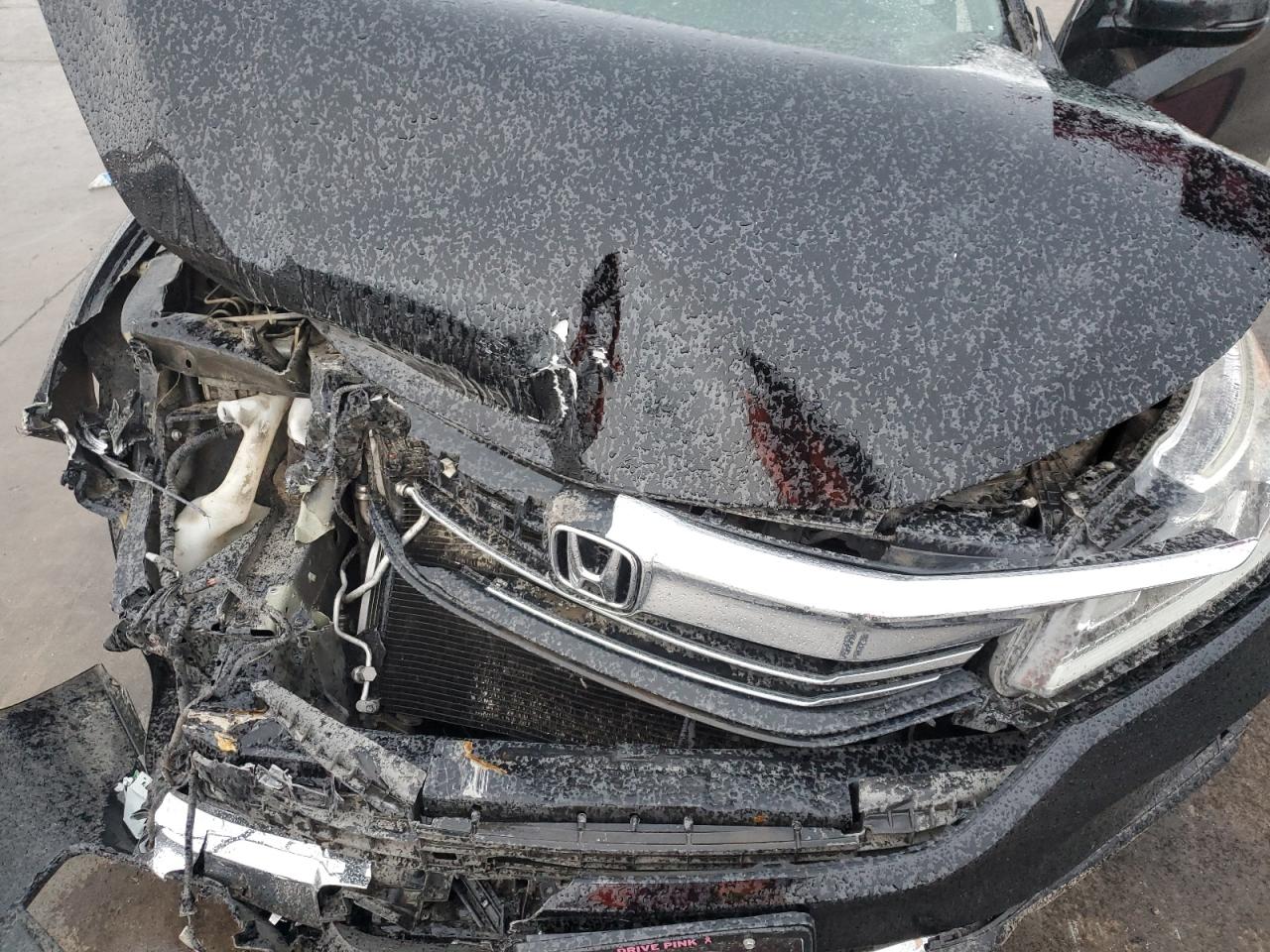 2016 Honda Accord VIN 1HGCR2F80GA014241 Copart auction photo, front end damage thumbnail 11