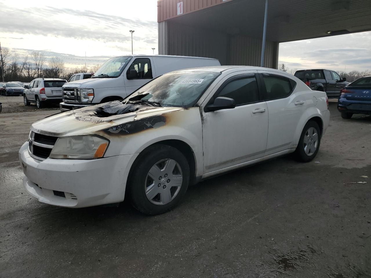 2008 Dodge Avenger VIN 1B3LC46K38N134232 - Copart auction photo