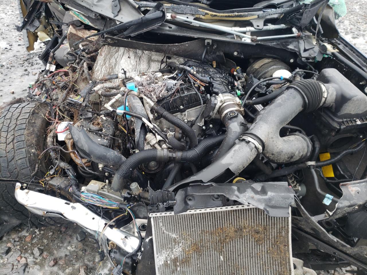 2020 Ford F-150 VIN 1FTEW1E4XLKE12232 Copart auction photo, all over damage thumbnail 12