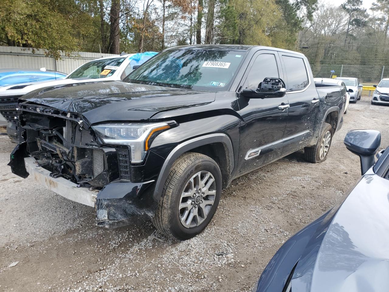 2023 Toyota Tundra VIN 5TFMA5DB5PX124208