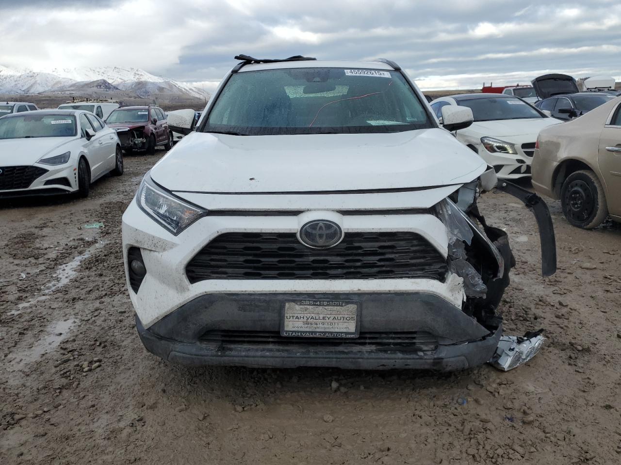 2019 Toyota RAV 4 VIN 2T3P1RFV4KW028787 Copart auction photo, front end damage thumbnail 5