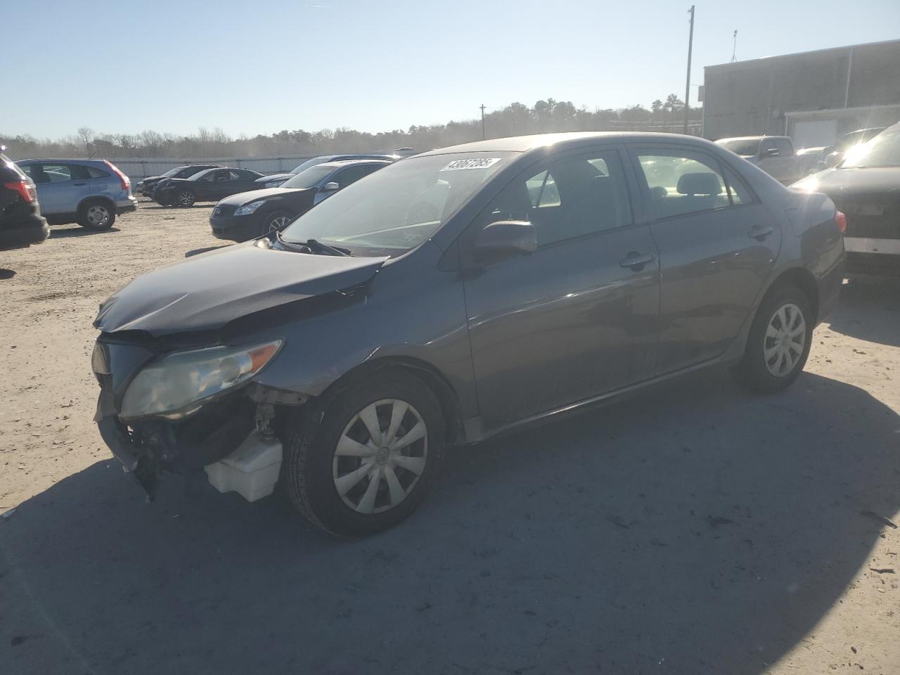 2009 Toyota Corolla VIN JTDBL40E099036671