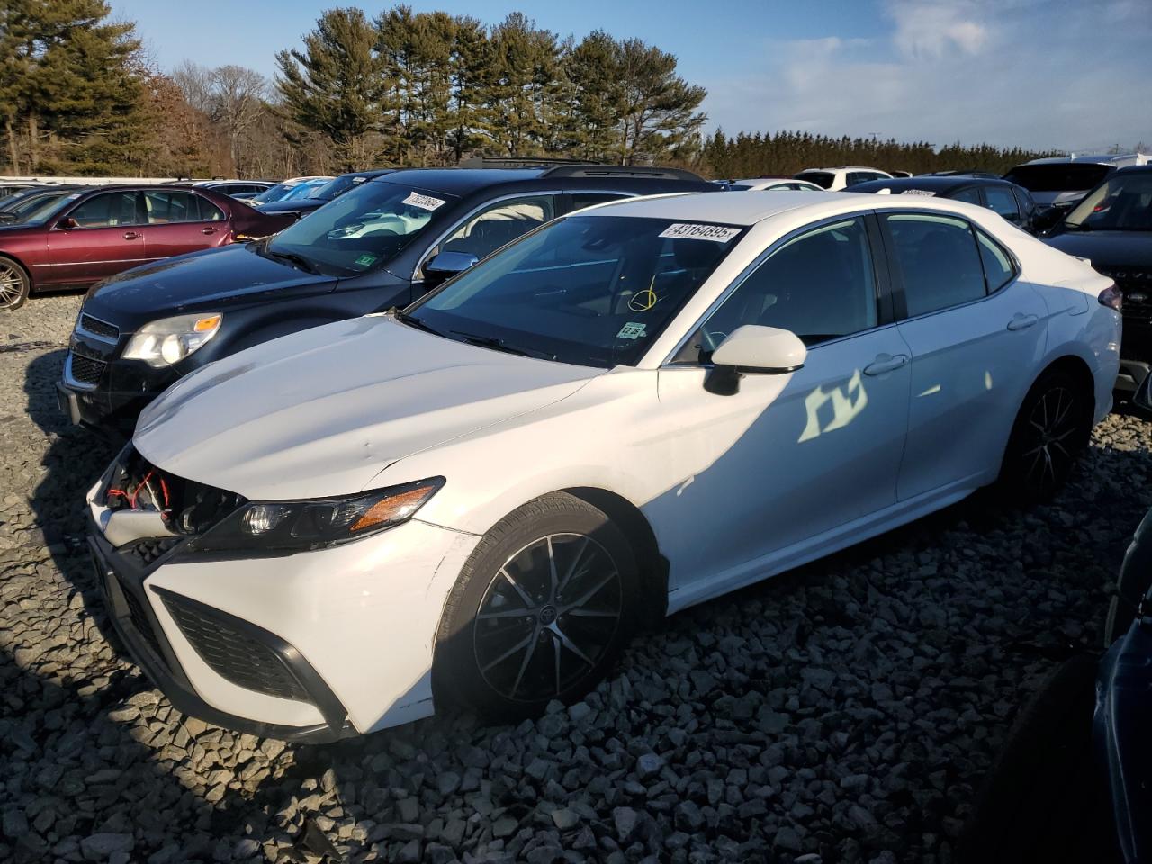 2021 Toyota Camry VIN 4T1G11BKXMU031010