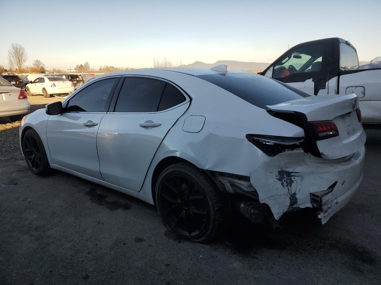 2015 Acura TLX VIN 19UUB2F55FA021277 Copart auction photo, rear end damage thumbnail 2