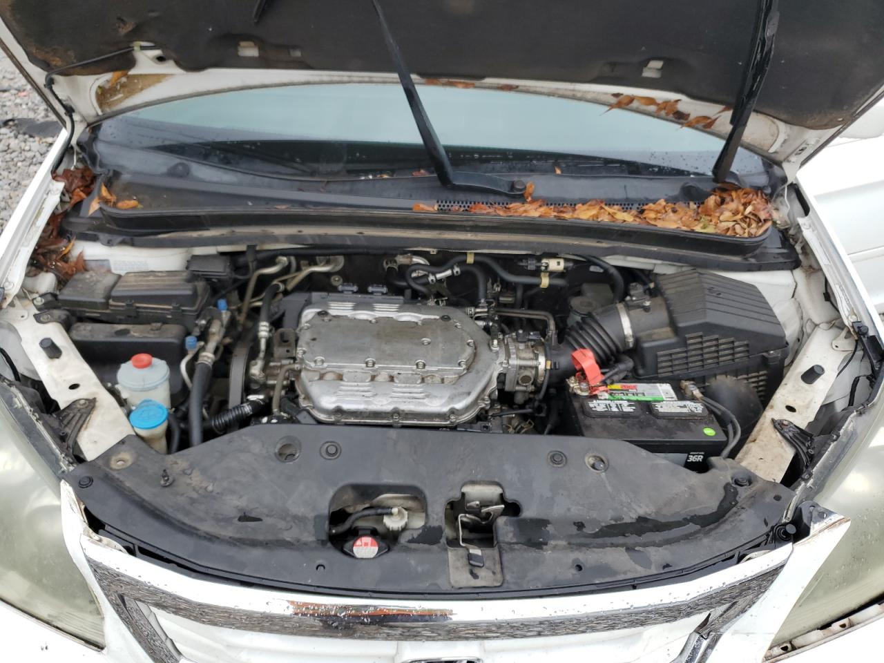 2010 Honda Odyssey VIN 5FNRL3H65AB090452 Copart auction photo, all over damage thumbnail 13