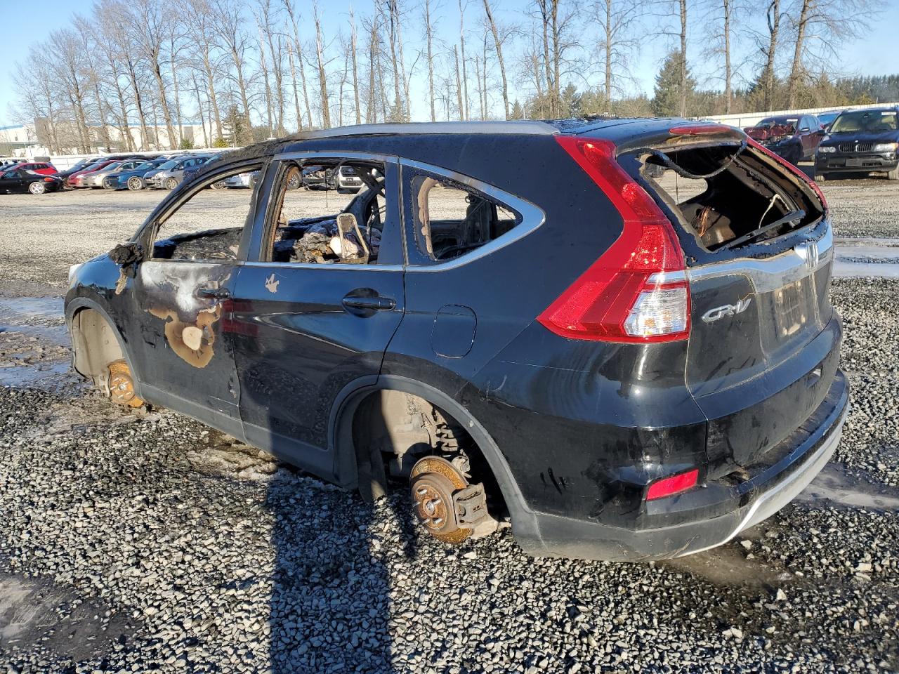 2016 Honda CR-V VIN 5J6RM4H9XGL090573 Copart auction photo, burn damage thumbnail 2