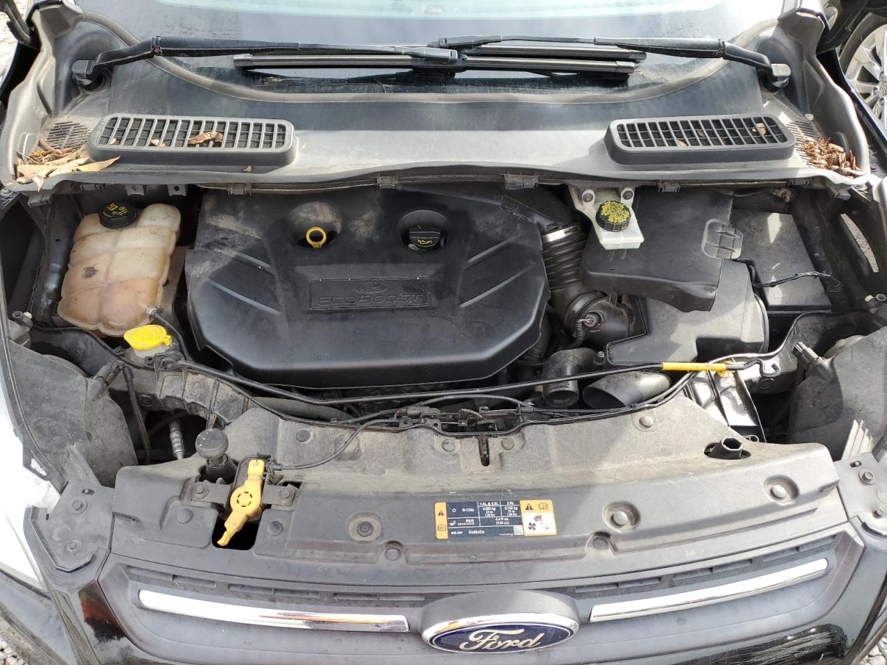 2014 Ford Escape VIN 1FMCU0G93EUE48184 Copart auction photo, minor dent/scratches damage thumbnail 12