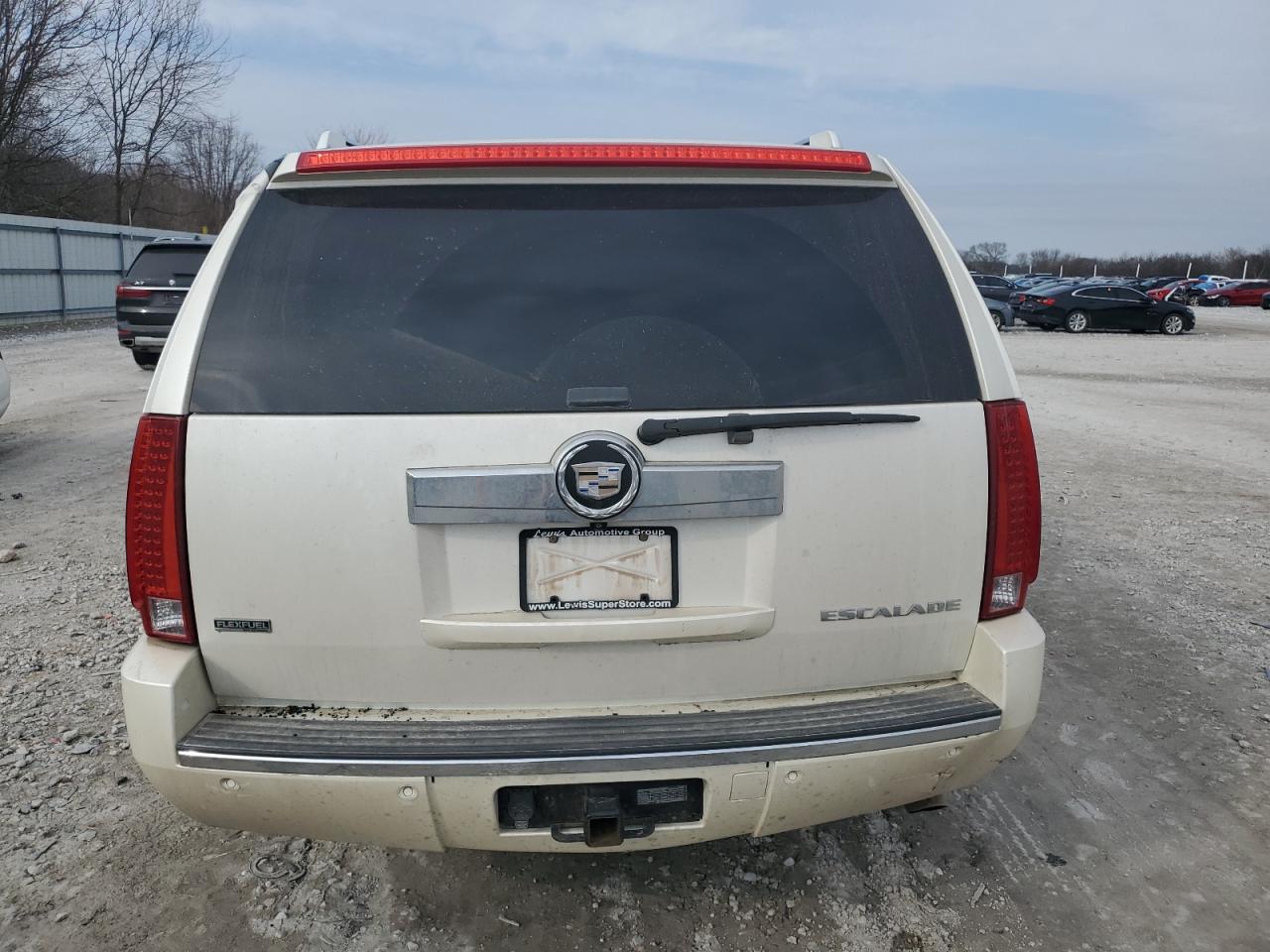 2010 Cadillac Escalade VIN 1GYUKJEF1AR169482 Copart auction photo, all over damage thumbnail 6