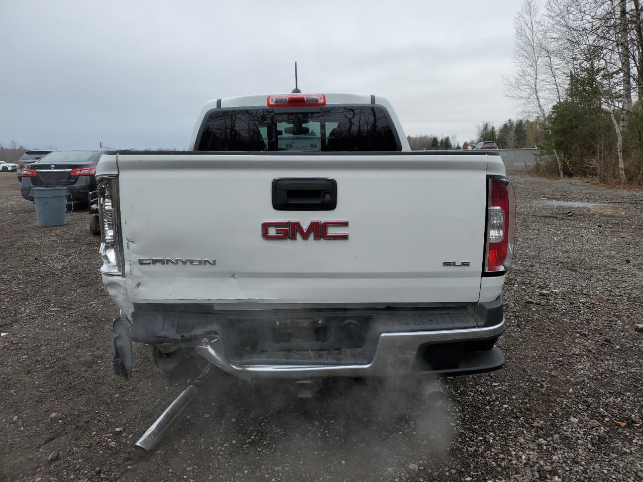 2016 GMC Canyon VIN 1GTG5CE34G1263701 Copart auction photo, rear end / side damage thumbnail 6