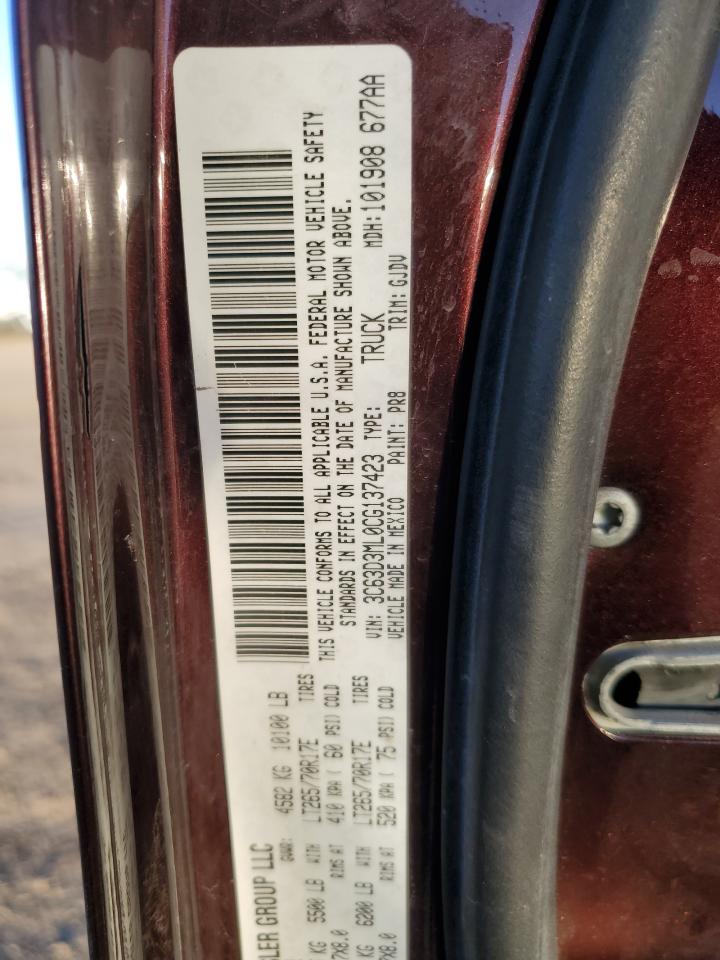 2012 Dodge RAM VIN 3C63D3ML0CG137423 Copart auction photo, side damage thumbnail 12