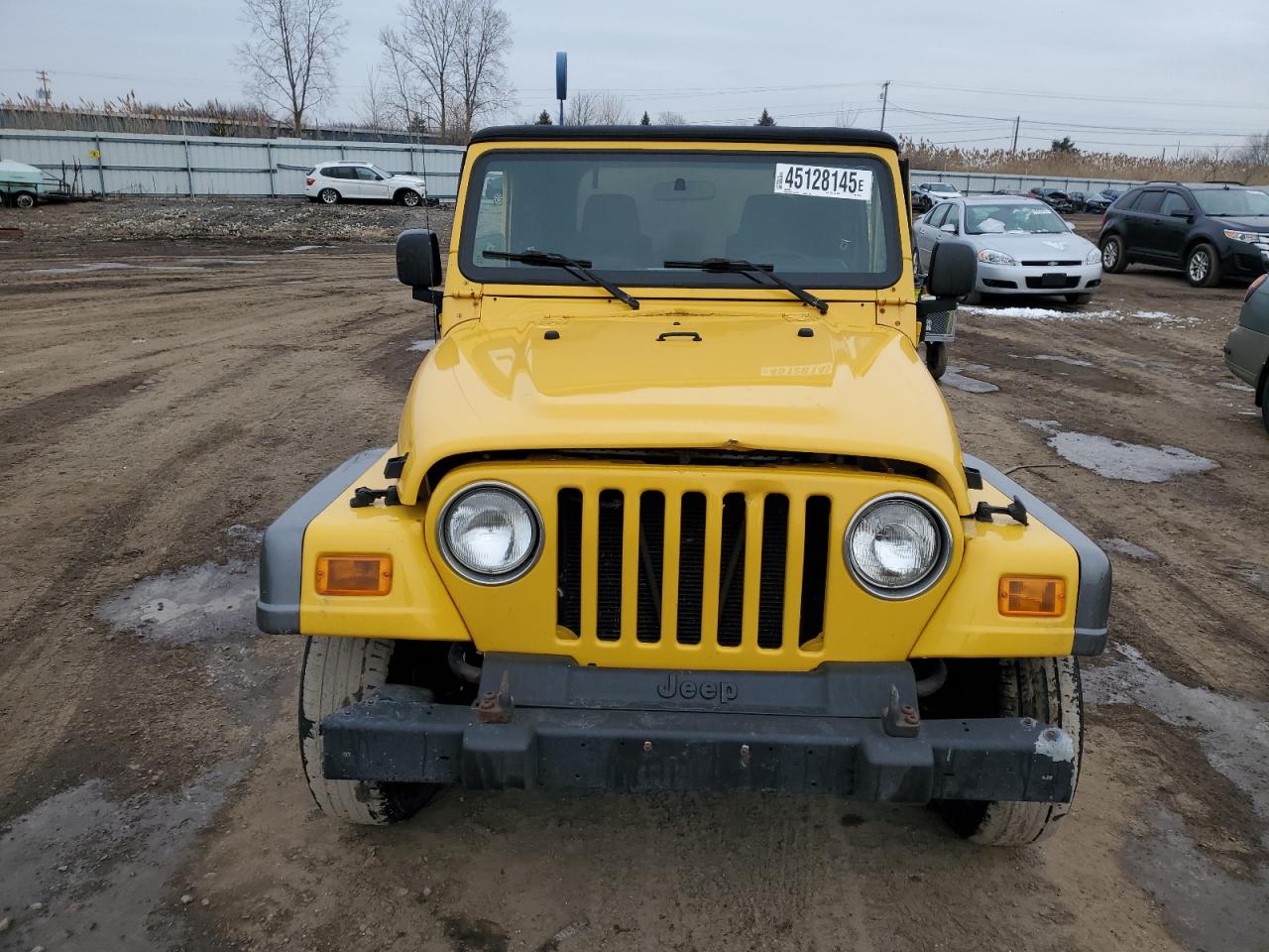 2004 Jeep Wrangler VIN 1J4FA39S24P801694 Copart auction photo, side damage thumbnail 5