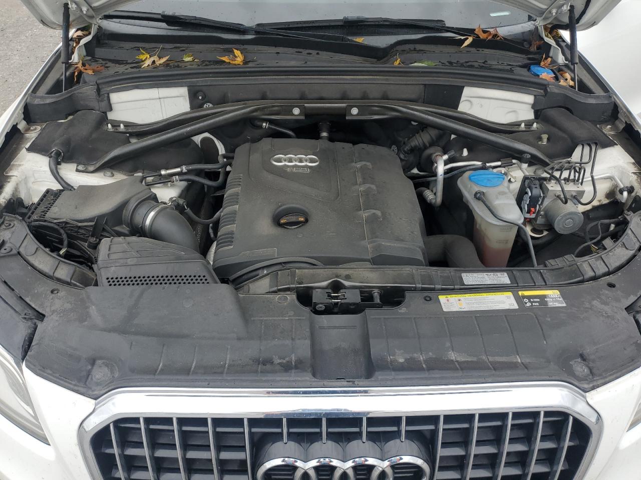 2013 Audi Q5 VIN WA1LFAFP6DA043113 Copart auction photo, hail damage thumbnail 12