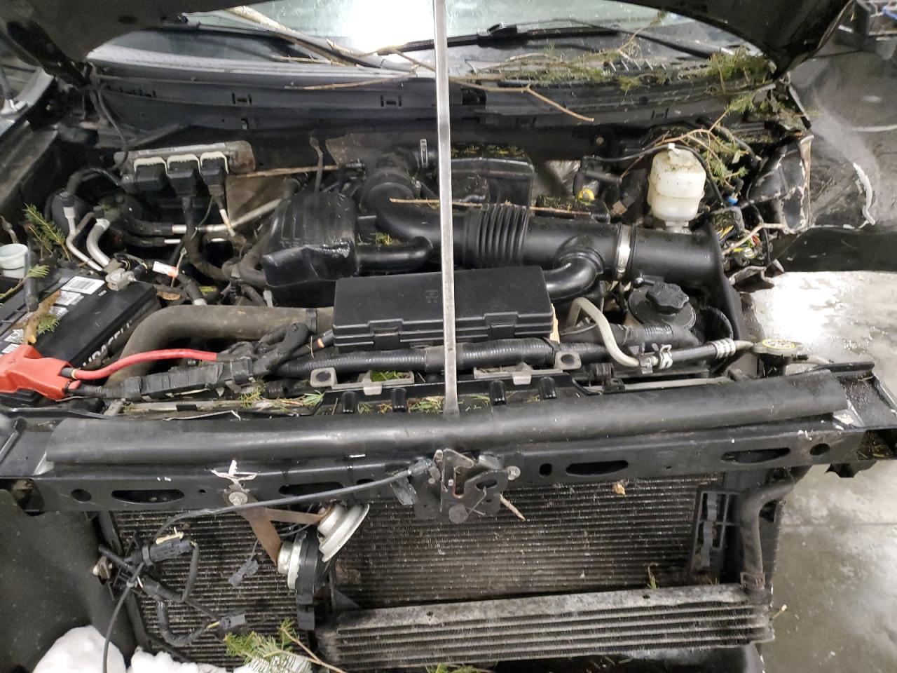 2010 Ford F-150 VIN 1FTFW1EV4AFC05533 Copart auction photo, front end / side damage thumbnail 13