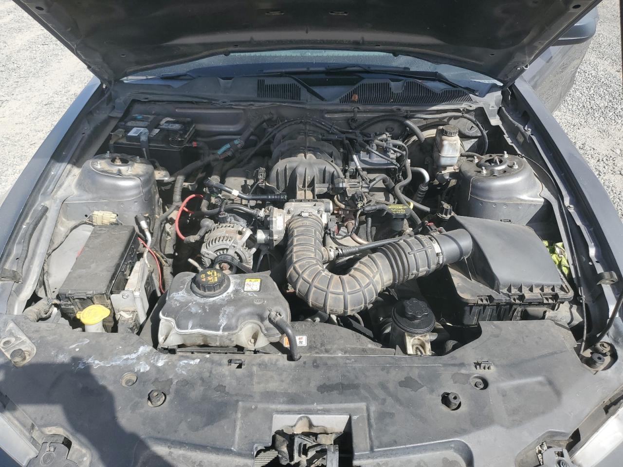 2010 Ford Mustang VIN 1ZVBP8AN9A5166211 Copart auction photo, rollover damage thumbnail 11