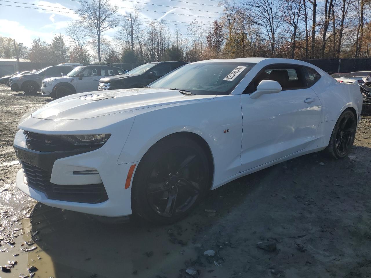 2019 Chevrolet Camaro VIN 1G1FG1R7XK0153217