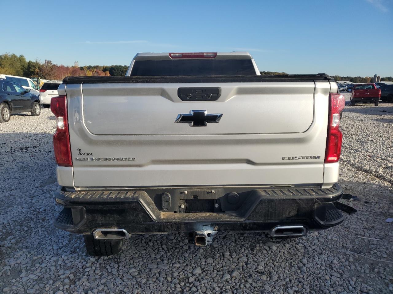2021 Chevrolet Silverado VIN 3GCPYCEF0MG482492 Copart auction photo, rollover damage thumbnail 6