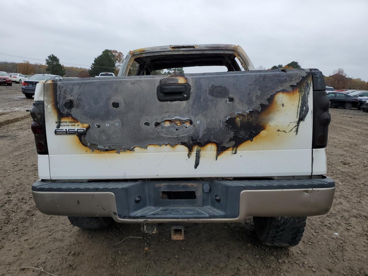 2005 Ford F-150 VIN 1FTPW14575KC37184 Copart auction photo, burn damage thumbnail 6