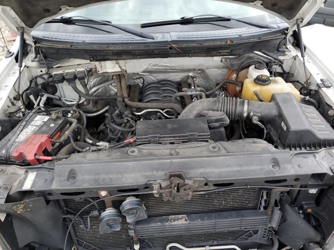 2013 Ford F-150 VIN 1FTFX1EFXDKF29183 Copart auction photo, minor dent/scratches / normal wear damage thumbnail 11
