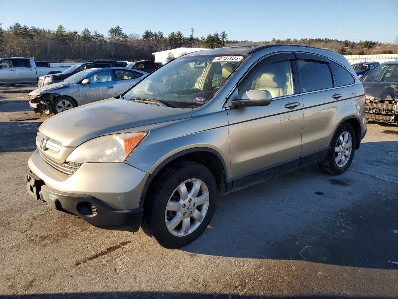 2007 Honda CR-V VIN JHLRE487X7C039613