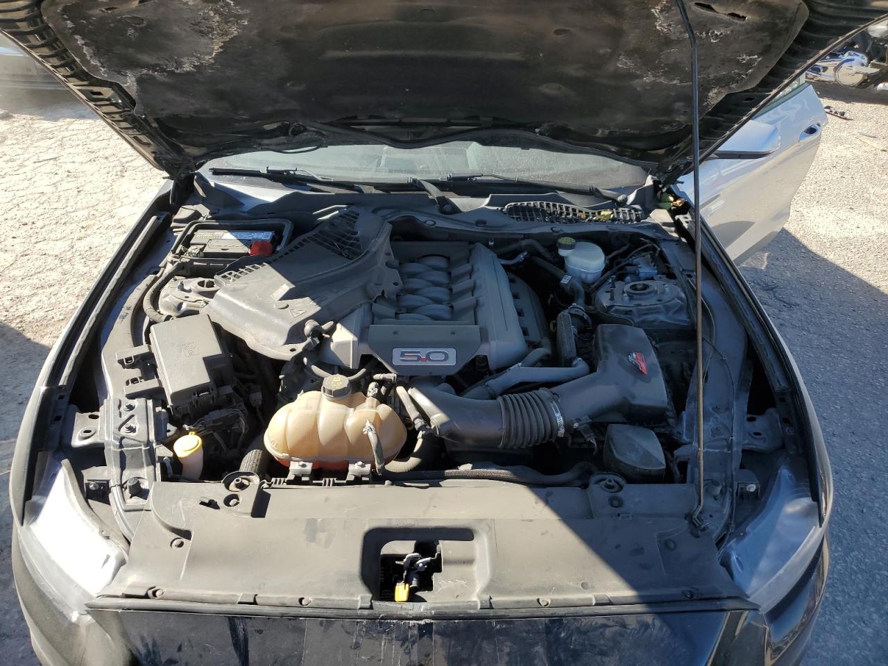 2017 Ford Mustang VIN 1FA6P8CF3H5310779 Copart auction photo, rear end damage thumbnail 12