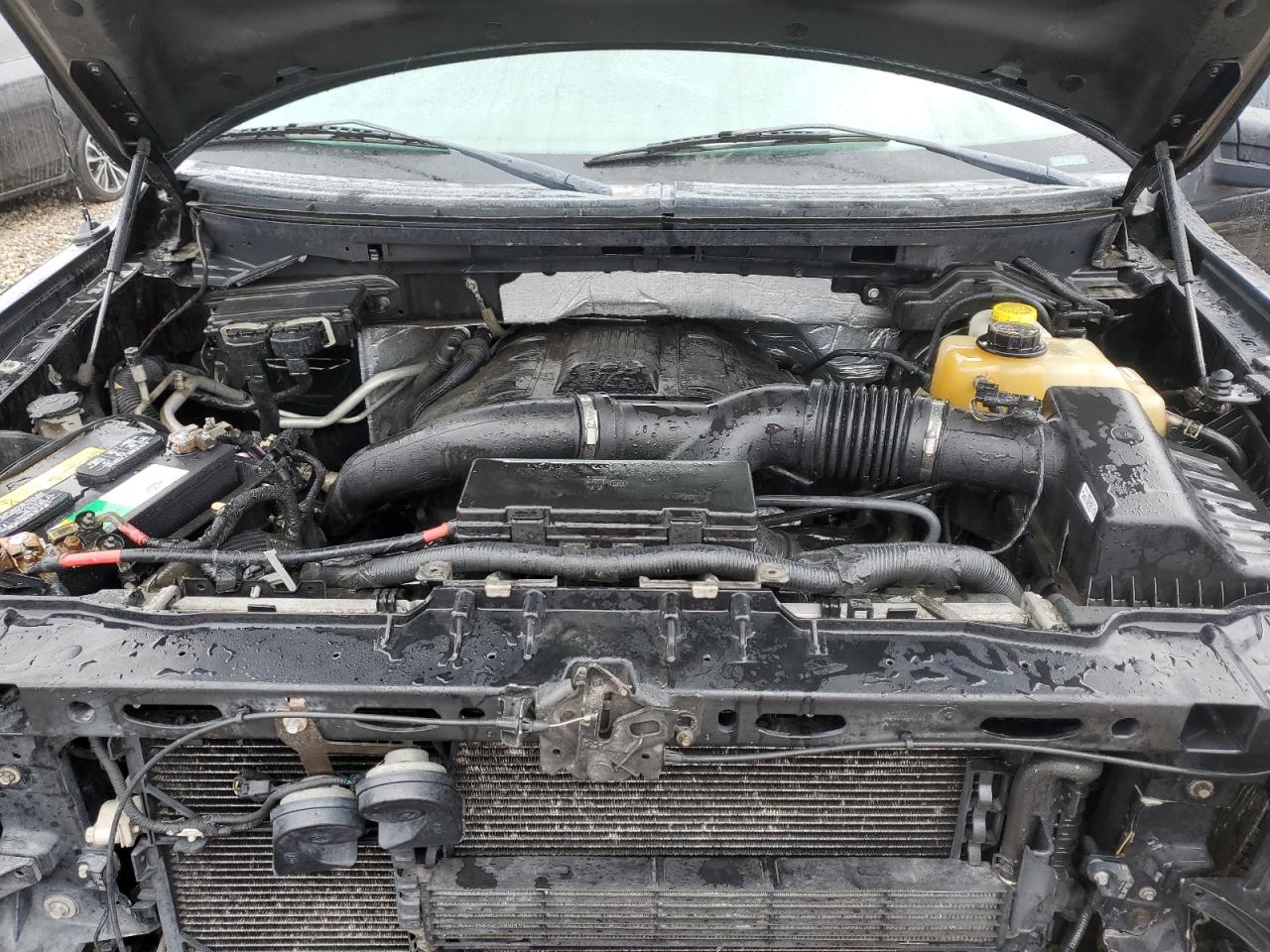2014 Ford F-150 VIN 1FTFW1ET0EFA92393 Copart auction photo, front end / rear end damage thumbnail 11