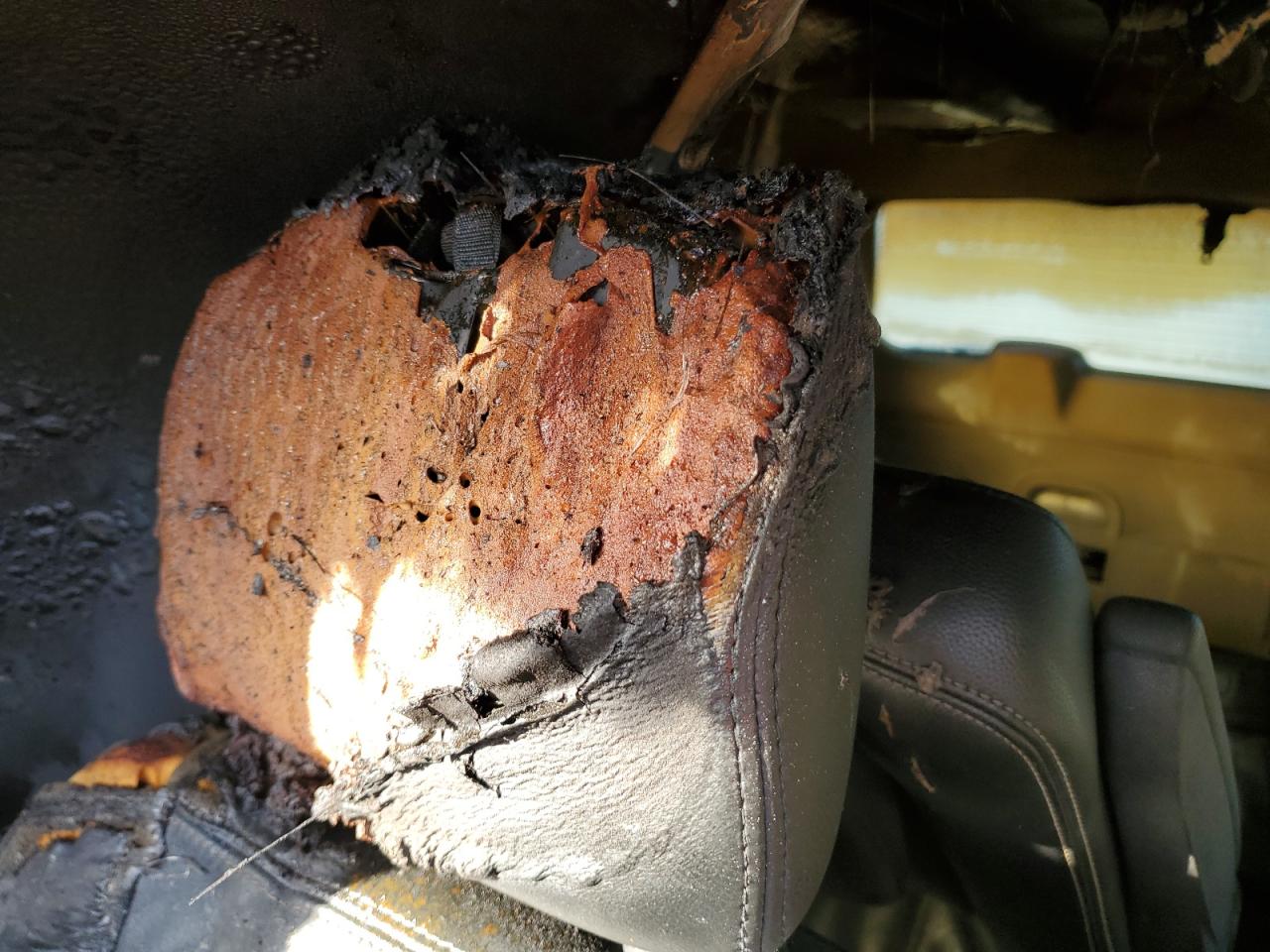 2014 Chrysler Town & Country VIN 2C4RC1BG1ER221182 Copart auction photo, burn - engine / front end damage thumbnail 12