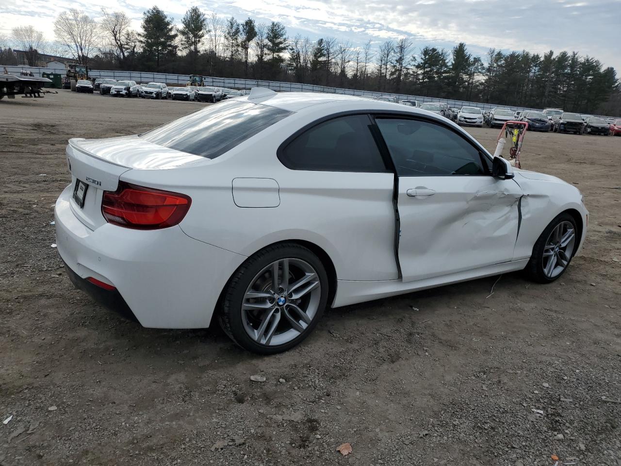 2018 BMW 2er VIN WBA2J3C50JVD48688 Copart auction photo, side damage thumbnail 3
