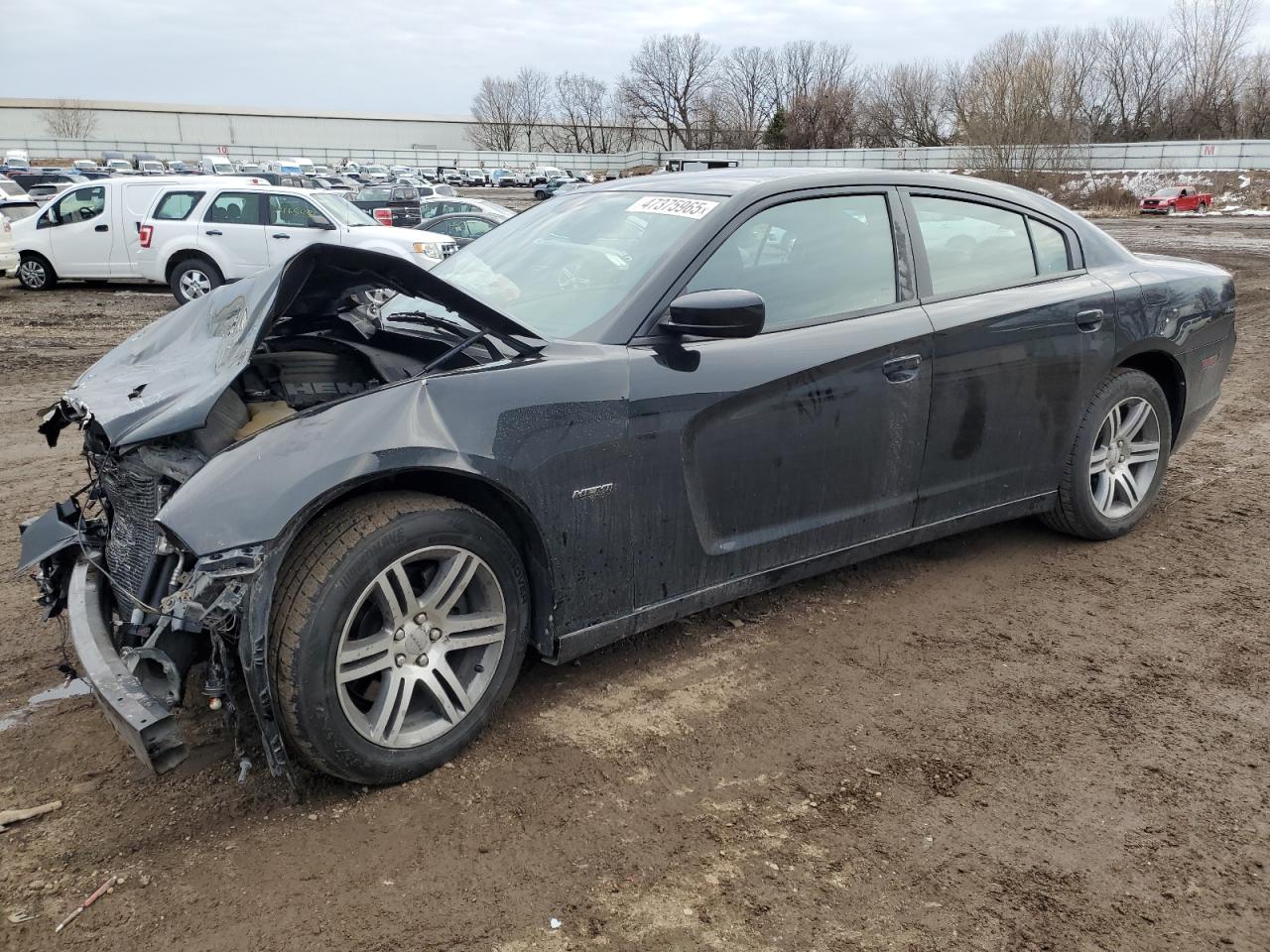 2013 Dodge Charger VIN 2C3CDXCTXDH738104