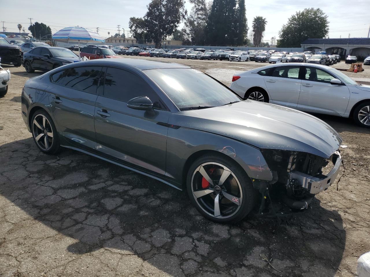 2024 Audi A5 VIN WAUFACF54RA118780 Copart auction photo, front end damage thumbnail 4