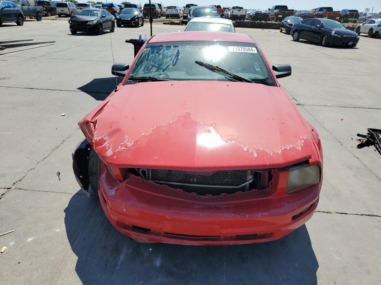 2005 Ford Mustang VIN 1ZVFT80N055159507 Copart auction photo, front end / rear end damage thumbnail 5