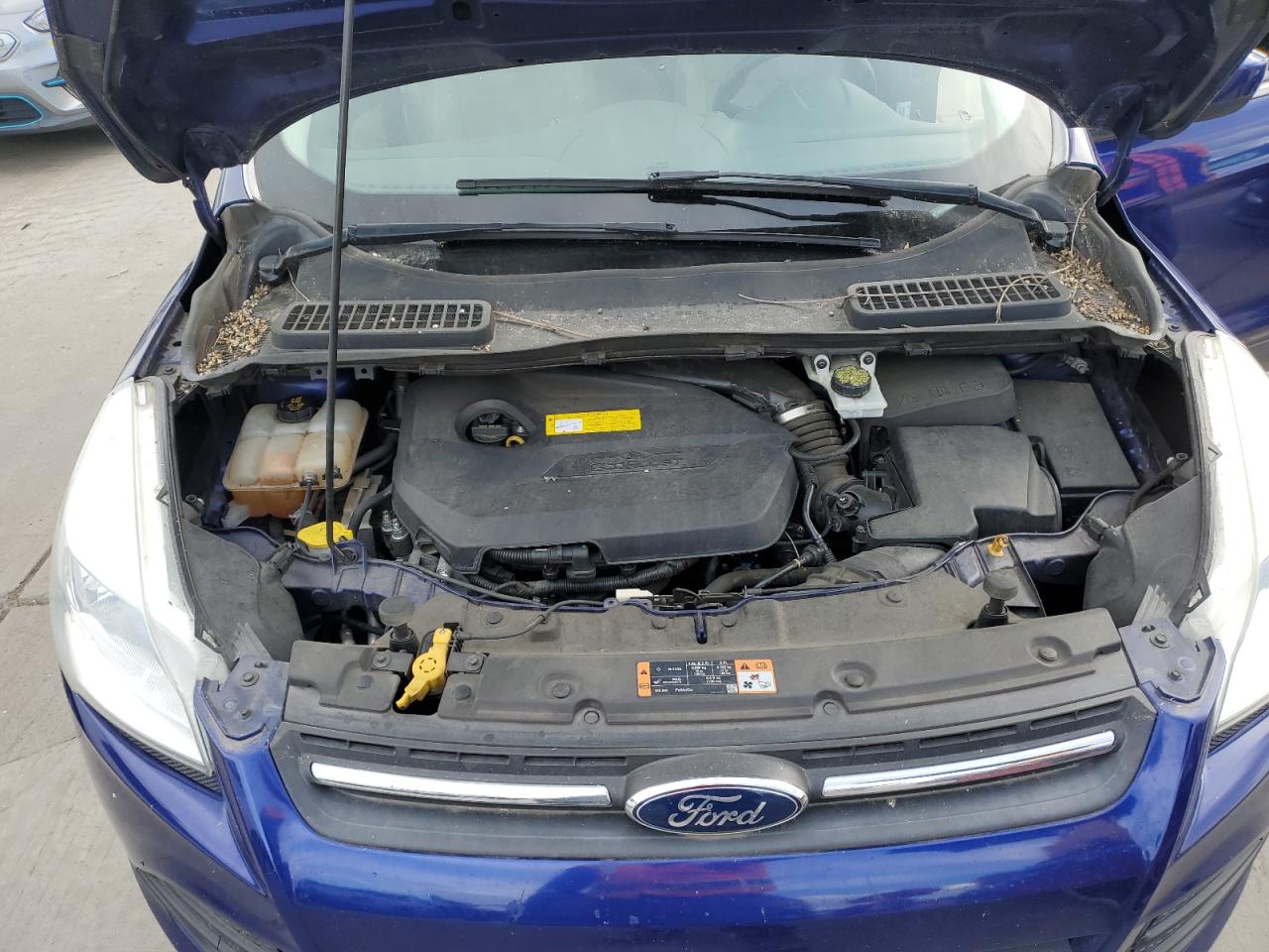 2015 Ford Escape VIN 1FMCU0GX1FUC13055 Copart auction photo, minor dent/scratches damage thumbnail 11