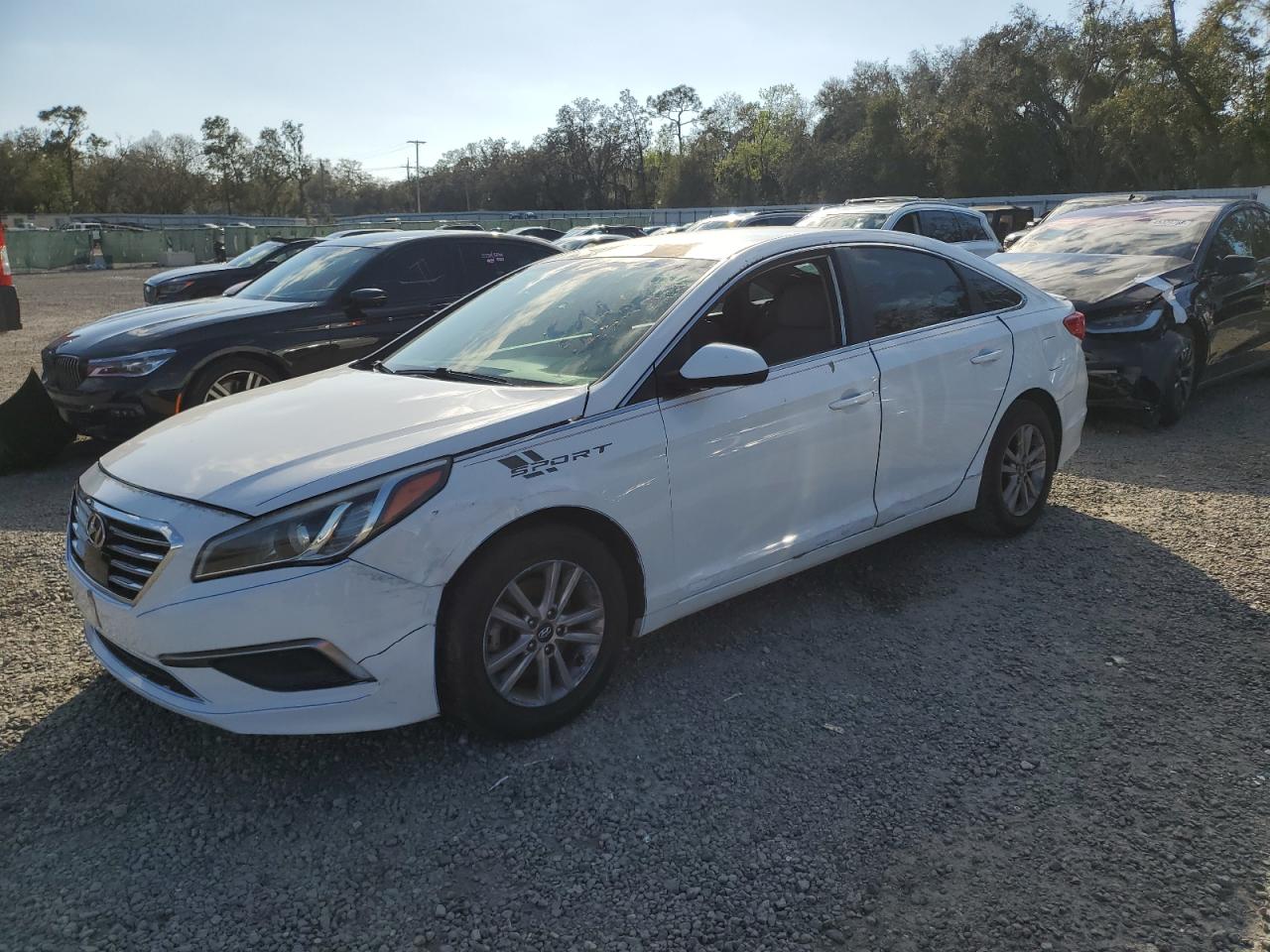 2016 Hyundai Sonata VIN 5NPE24AF1GH366623