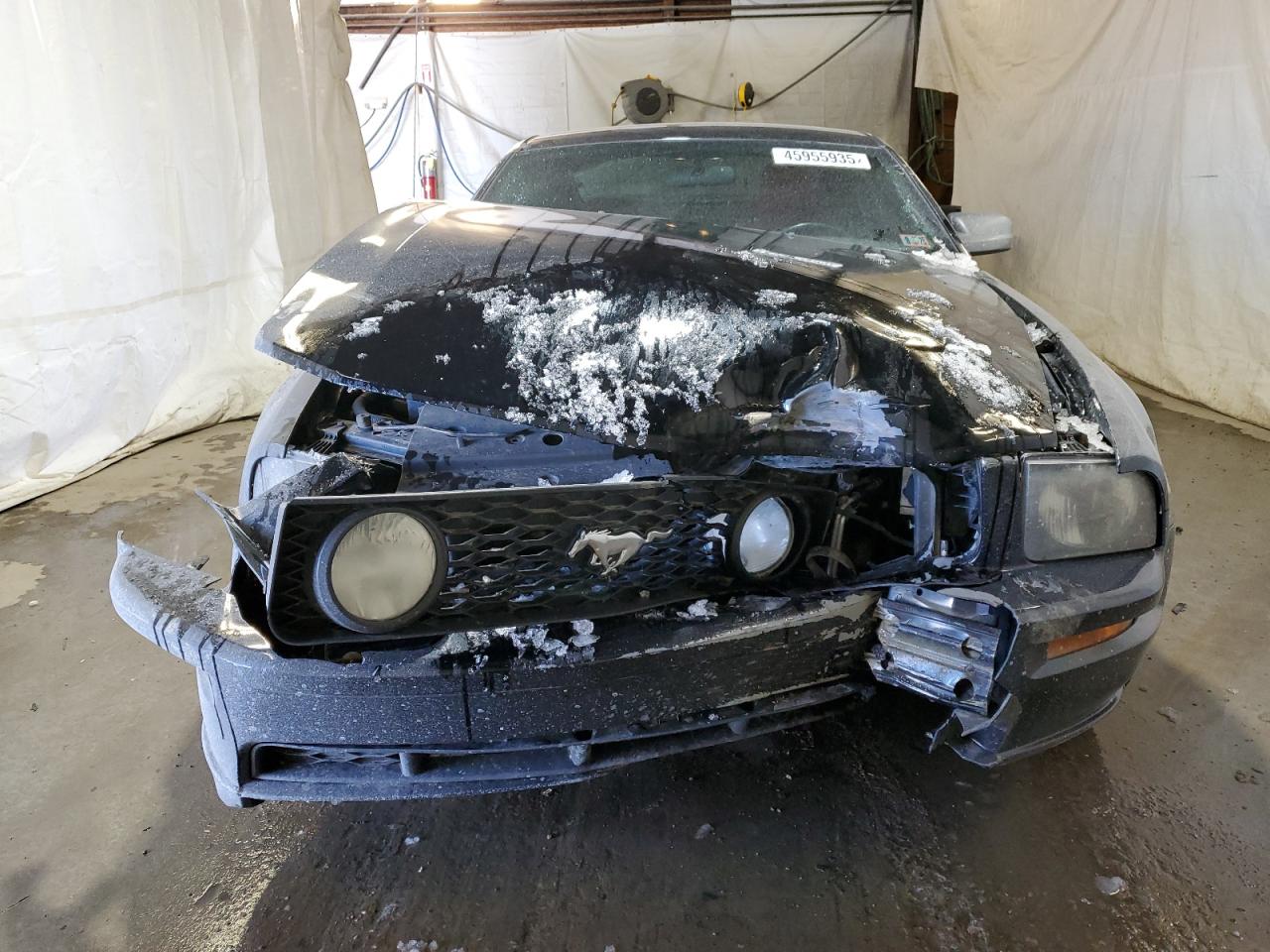 2005 Ford Mustang VIN 1ZVHT82H055106757 Copart auction photo, front end / all over damage thumbnail 5