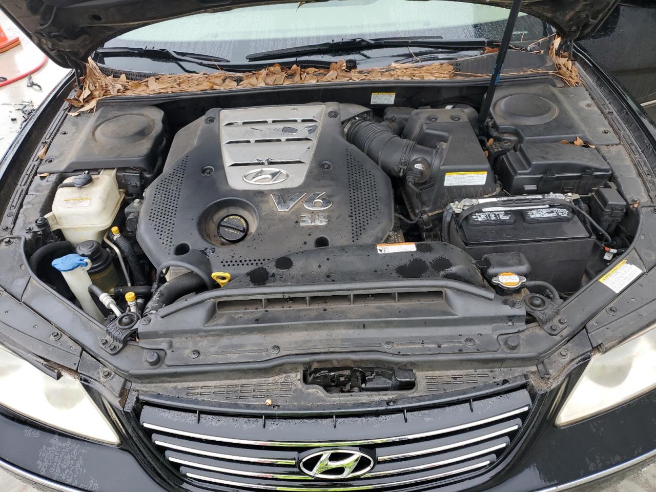 2007 Hyundai Azera VIN KMHFC46F17A231820 Copart auction photo, rear end / side damage thumbnail 11