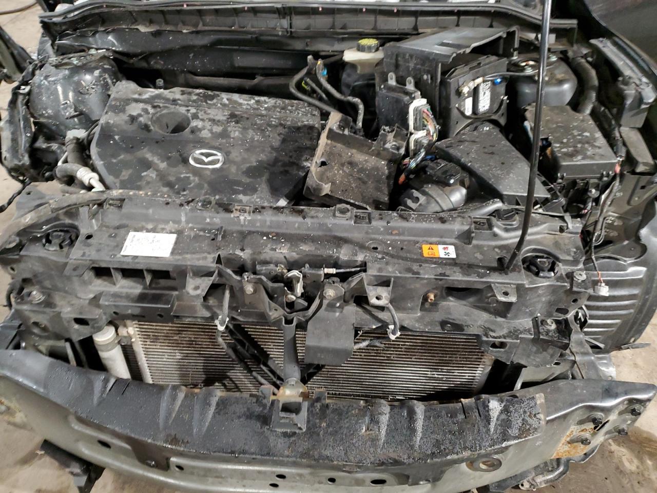 2010 Mazda 3 VIN JM1BL1SG6A1289705 Copart auction photo, front end / all over damage thumbnail 11