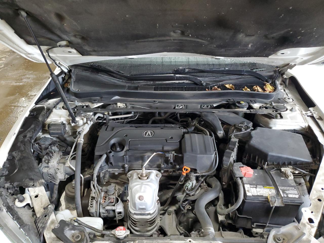 2017 Acura TLX VIN 19UUB1F39HA003151 Copart auction photo, front end damage thumbnail 11