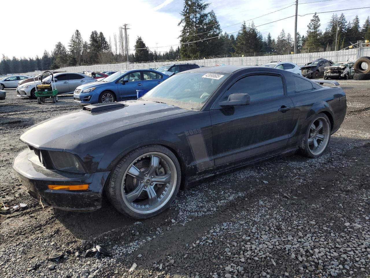 2006 Ford Mustang VIN 1ZVHT82H765123282
