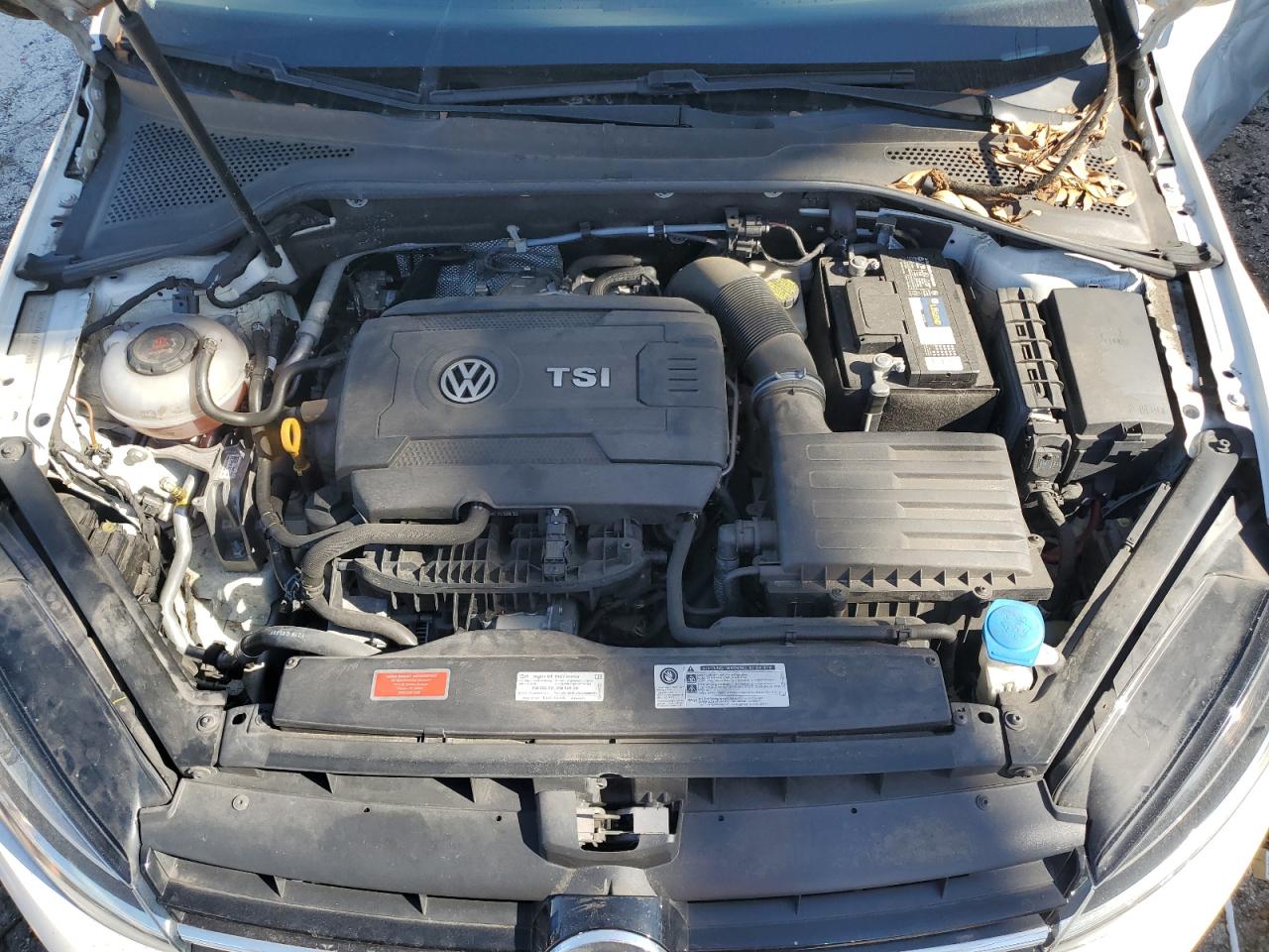2018 Volkswagen Golf VIN 3VWD17AUXJM767603 Copart auction photo, side / minor dent/scratches damage thumbnail 11