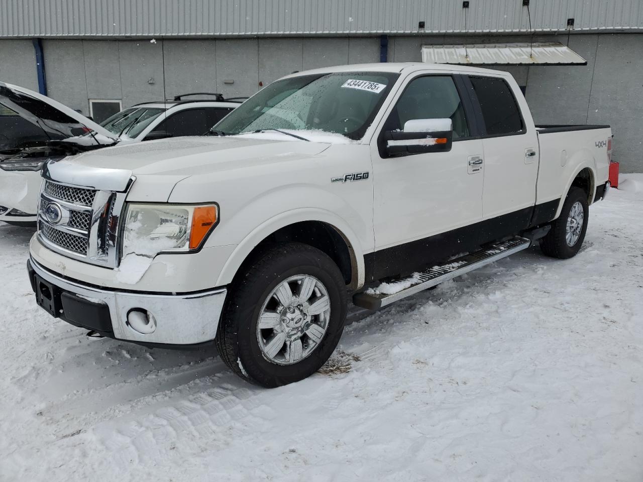 2010 Ford F-150 VIN 1FTFW1EV4AKE55006