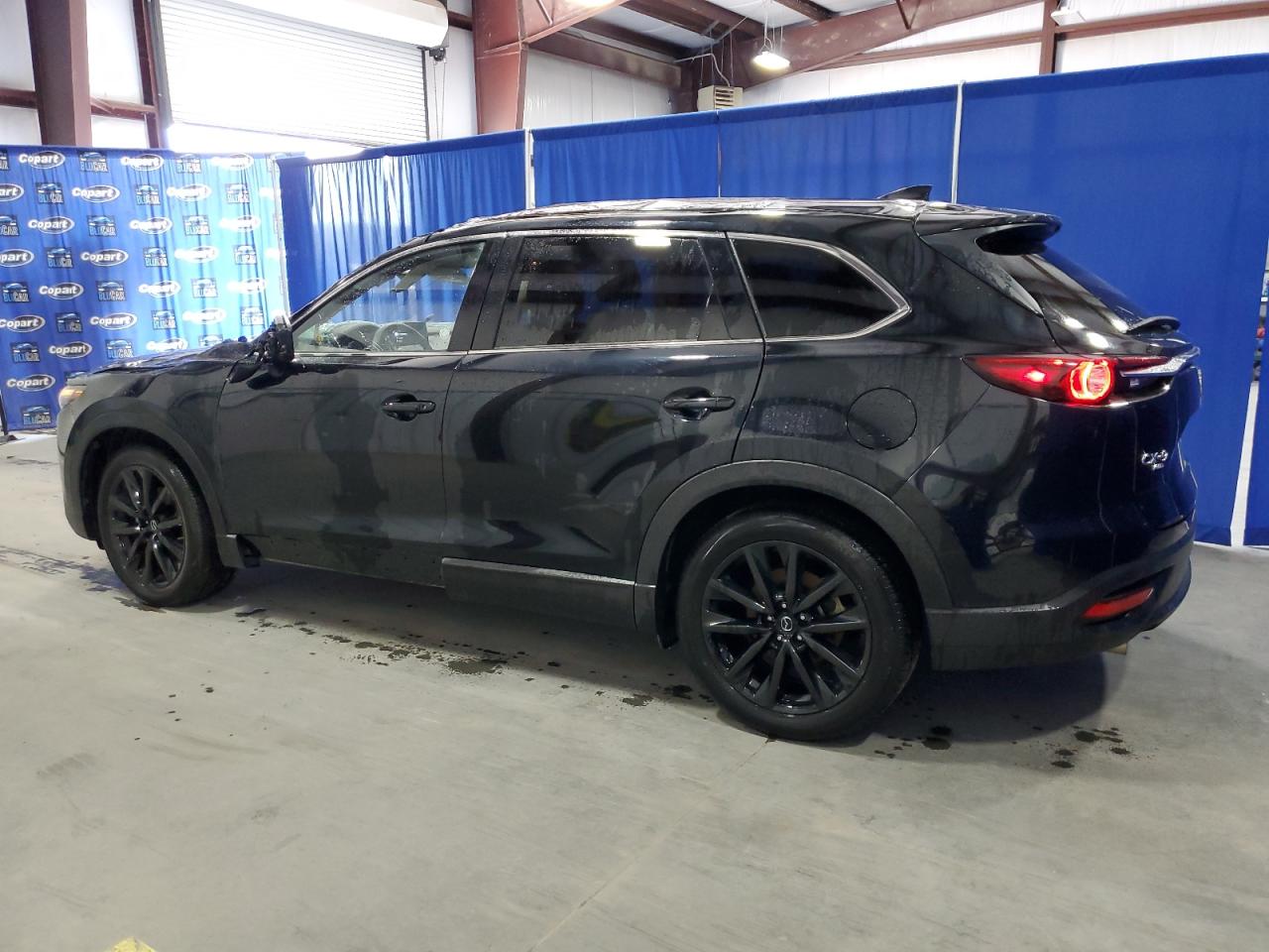 2023 Mazda CX-9 VIN JM3TCBAY8P0656226 Copart auction photo, all over damage thumbnail 2