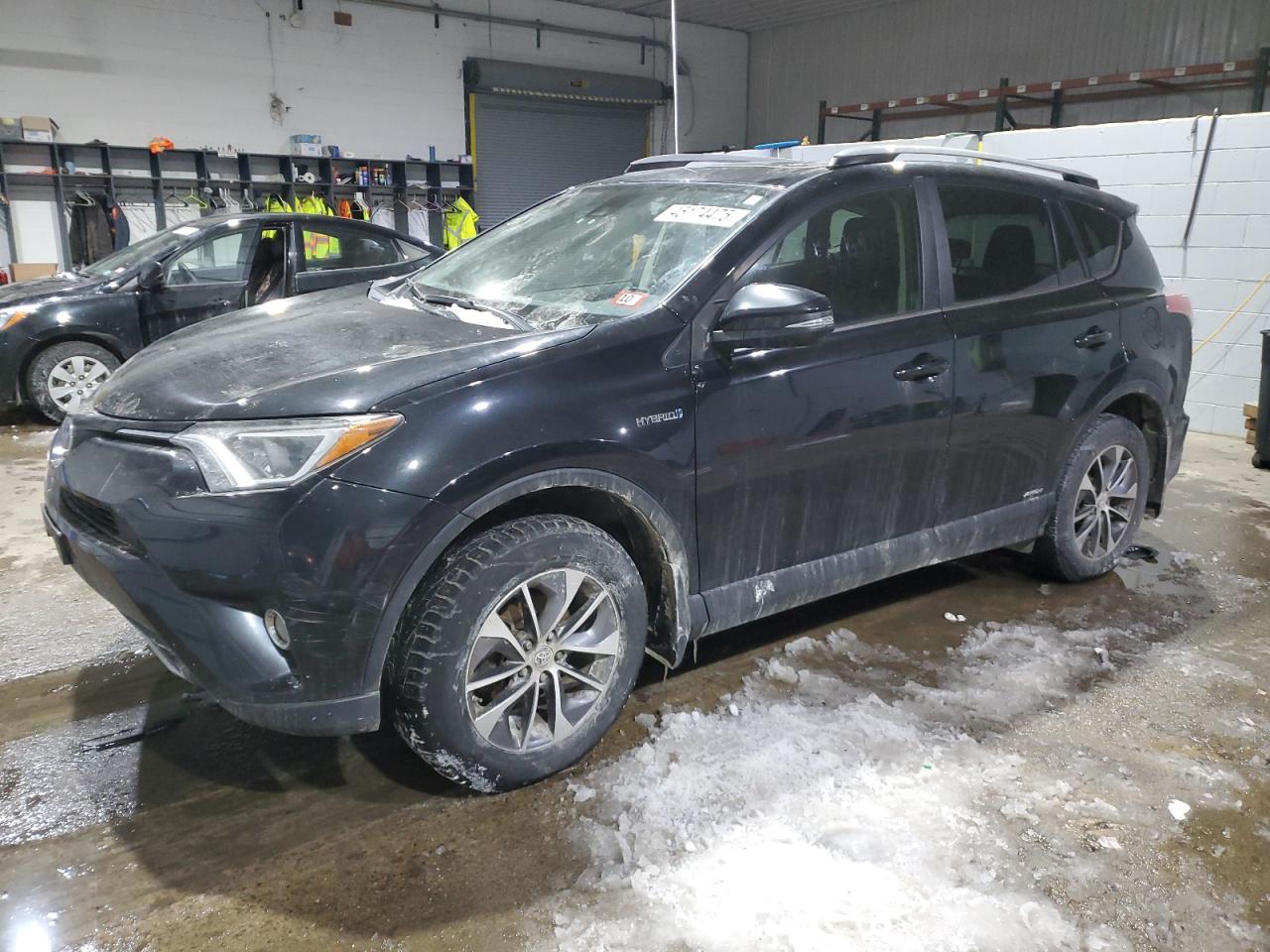 2017 Toyota RAV 4 VIN JTMRJREV8HD115169