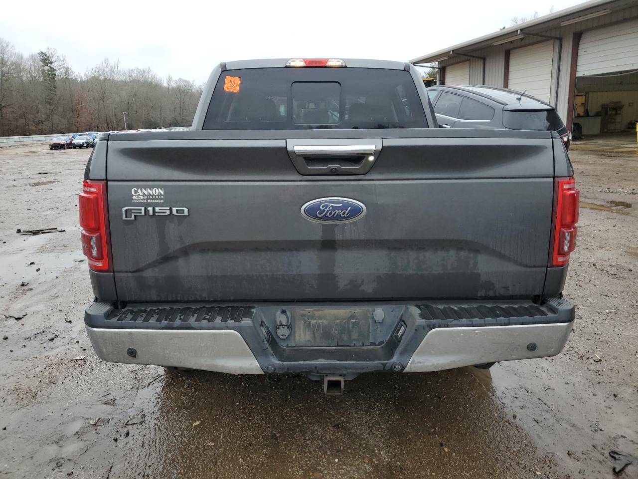 2016 Ford F-150 VIN 1FTEW1CG8GFA28400 Copart auction photo, vandalism damage thumbnail 6