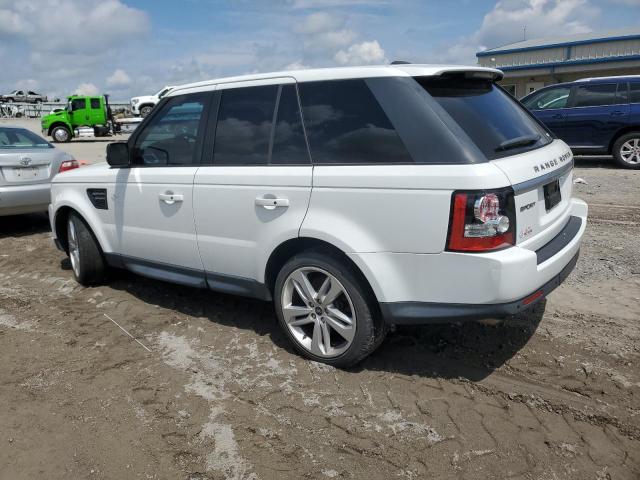 2013 Land Rover Range rover sport VIN SALSK2D49DA813051 Copart auction photo, hail damage thumbnail 2
