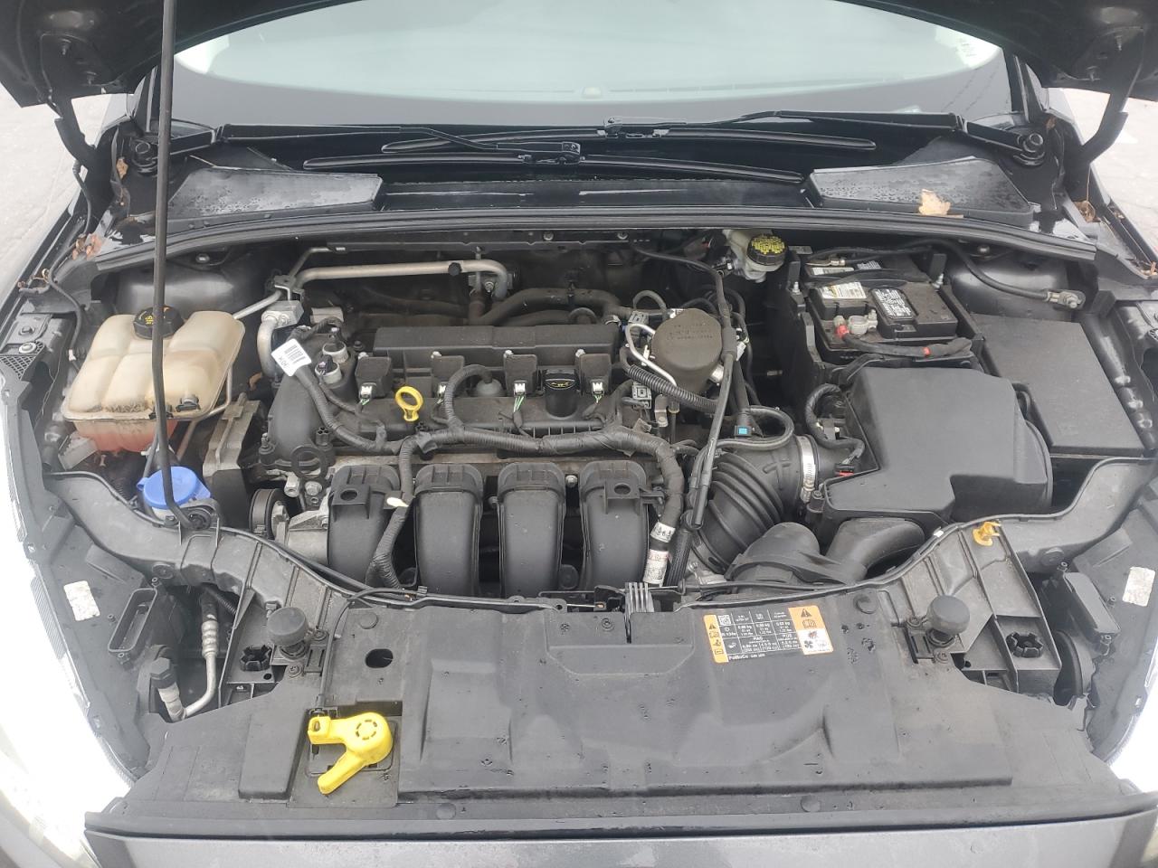 2016 Ford Focus VIN 1FADP3F2XGL308055 Copart auction photo, side damage thumbnail 13