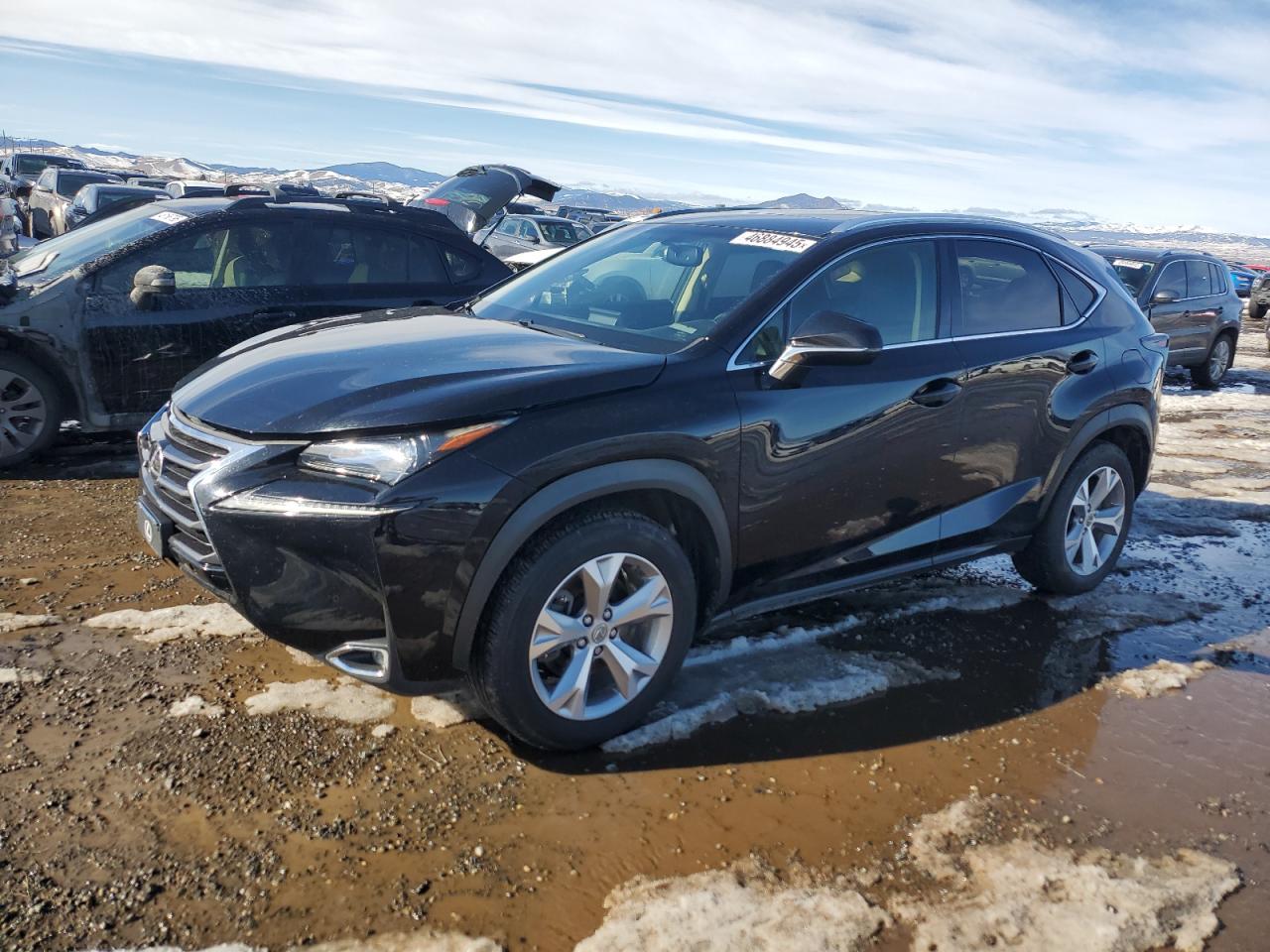 2017 Lexus NX VIN JTJBARBZ2H2131661 - Copart auction photo