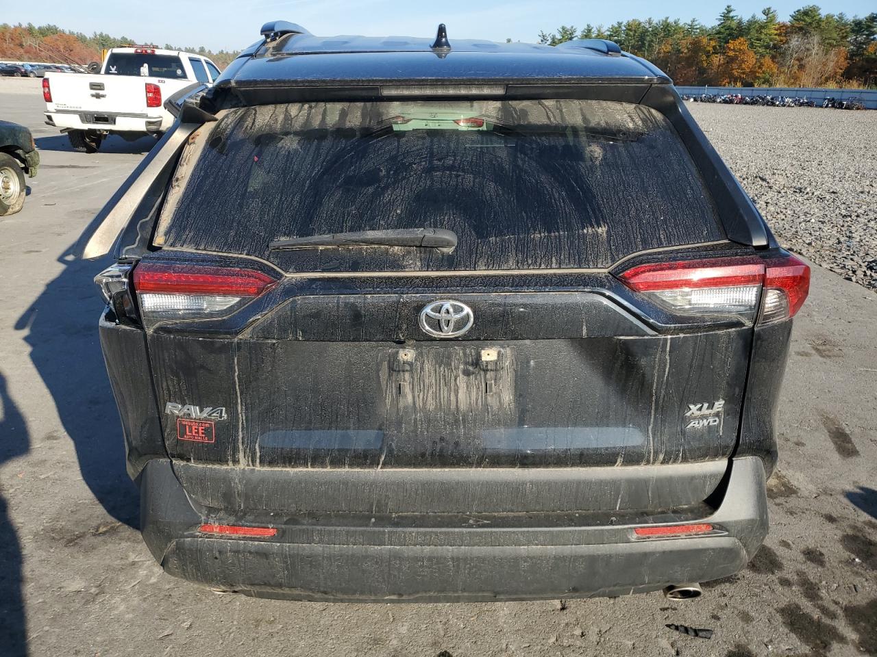 2019 Toyota RAV 4 VIN JTMP1RFV9KD029849 Copart auction photo, side / rear end damage thumbnail 6